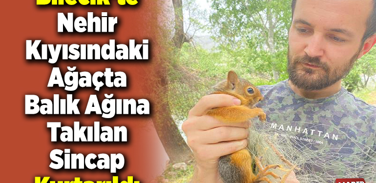 Bilecik’te nehir kıyısındaki ağaçta balık ağına takılan sincap kurtarıldı