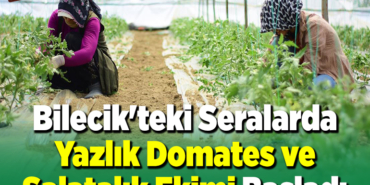 Bilecik'teki seralarda yazlık domates ve salatalık ekimi başladı