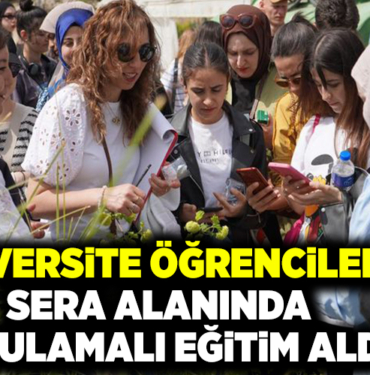 ÜNİVERSİTE ÖĞRENCİLERİ SERA ALANINDA UYGULAMALI EĞİTİM ALDI
