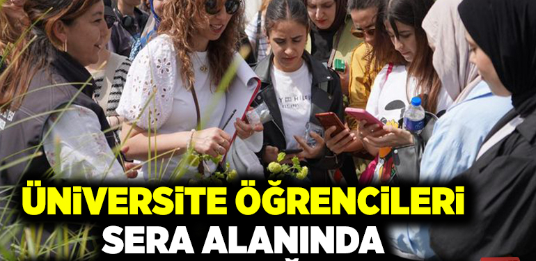 ÜNİVERSİTE ÖĞRENCİLERİ SERA ALANINDA UYGULAMALI EĞİTİM ALDI