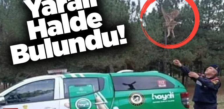 Yaralı halde bulundu!