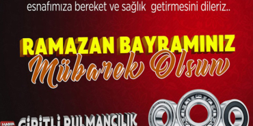 girilti rulman