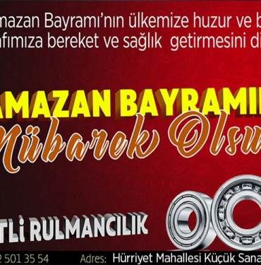 girilti rulman