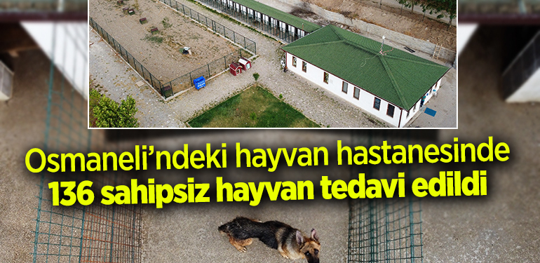 Osmaneli’deki hayvan hastanesinde 136 sahipsiz hayvan tedavi edildi