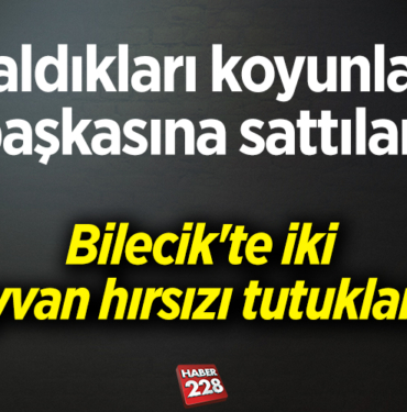 hırkızlar