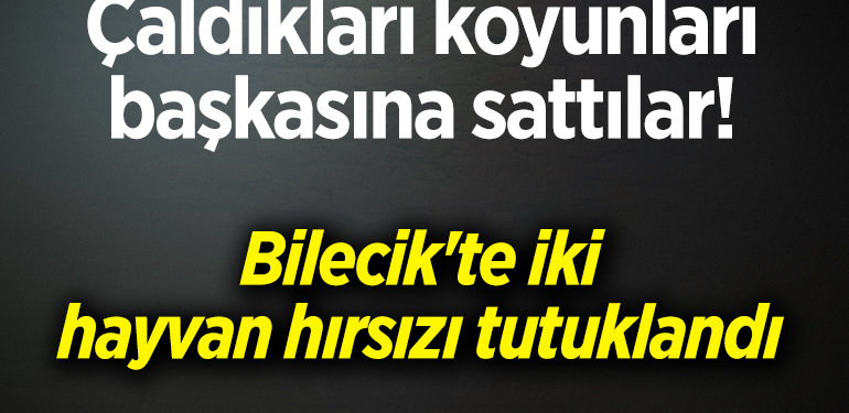 Bilecik’te hayvan hırsızlığı şüphelisi 2 kişi tutuklandı
