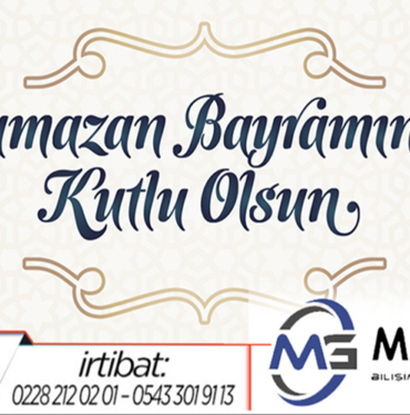 mega bilişim