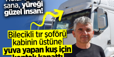 sofor