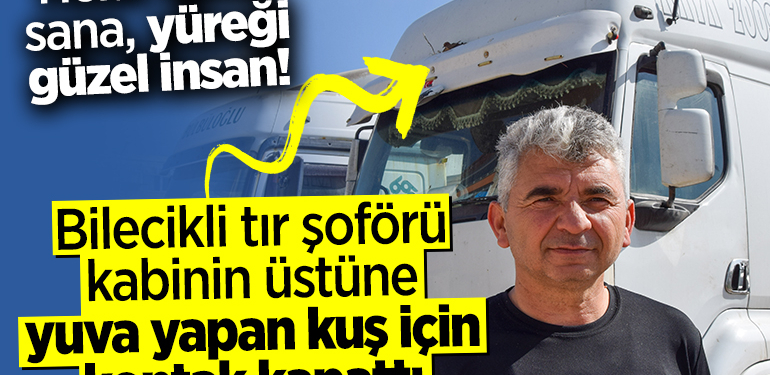 Bilecikli tır şoförü kabinin üstüne yuva yapan kuş için kontak kapattı