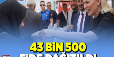 43 BİN 500 FİDE DAĞITILDI
