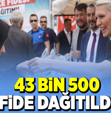 43 BİN 500 FİDE DAĞITILDI