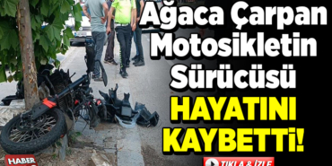 Ağaca çarpan motosikletin sürücüsü öldü