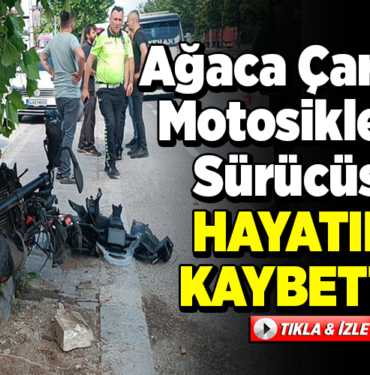 Ağaca çarpan motosikletin sürücüsü öldü