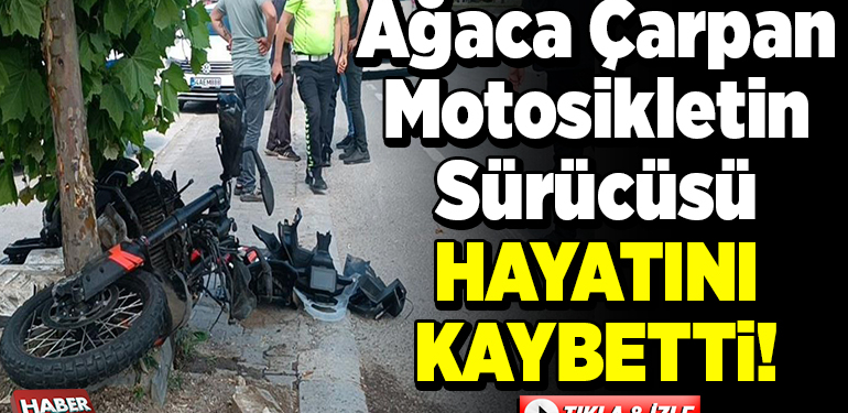 Ağaca çarpan motosikletin sürücüsü hayatını kaybetti