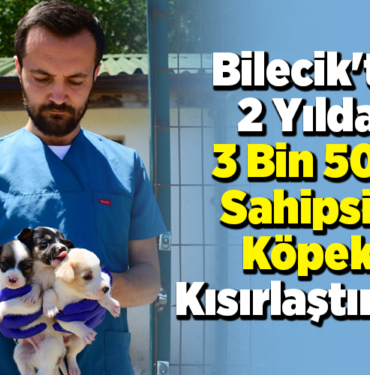 Bilecik'te 2 yılda 3 bin 508 sahipsiz köpek kısırlaştırıldı