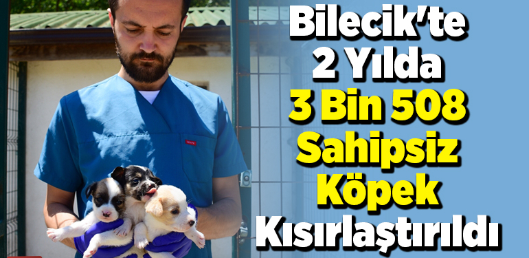 Bilecik’te 2 yılda 3 bin 508 sahipsiz köpek kısırlaştırıldı