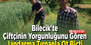 Bilecik'te çiftçinin yorgunluğunu gören jandarma tırpanla ot biçtiİ