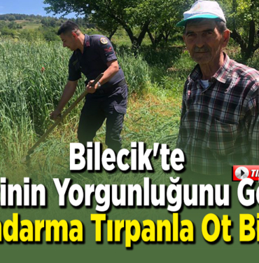 Bilecik'te çiftçinin yorgunluğunu gören jandarma tırpanla ot biçtiİ