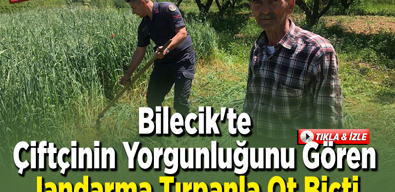 Bilecik’te çiftçinin yorgunluğunu gören jandarma tırpanla ot biçti