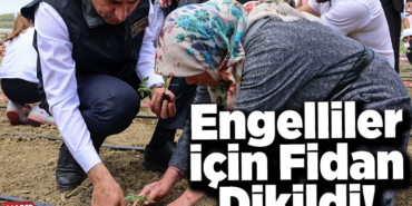 Engelliler için fidan dikti