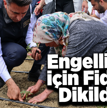 Engelliler için fidan dikti