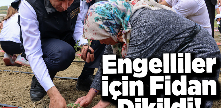 Engelliler için fidan dikildi!