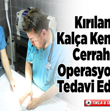 Kırılan kalça kemiği cerrahi operasyonla tedavi edildi