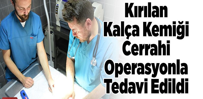 Kırılan kalça kemiği cerrahi operasyonla tedavi edildi