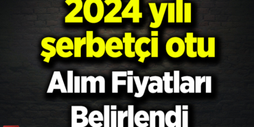 SERBETCİ