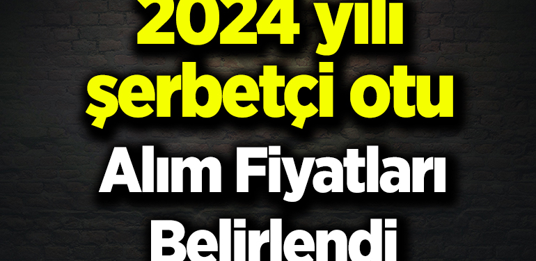 2024 yılı şerbetçi otu alım fiyatları belirlendi