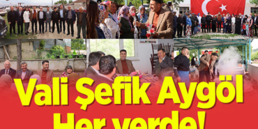 aygol