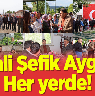 aygol