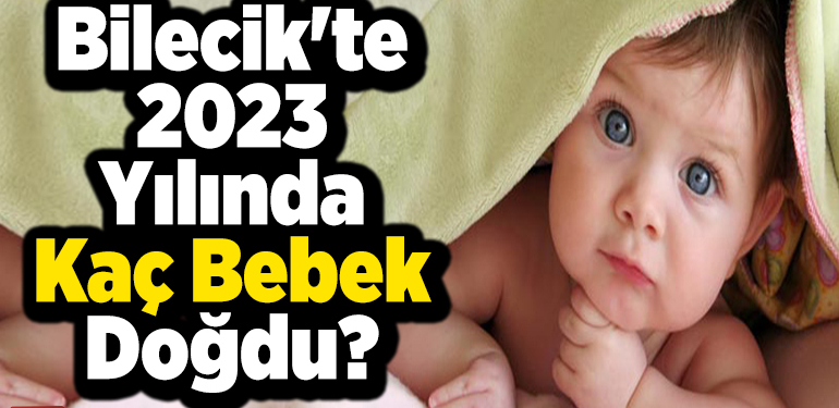 Bilecik’te 2023 Yılında Kaç Bebek Doğdu?