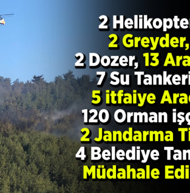 2 helikopter, 2 greyder, 2 dozer, 13 arazöz, 7 su tankeri, 5 itfaiye aracı, 120 orman işçisi, 2 jandarma timi, 4 belediye tankeri