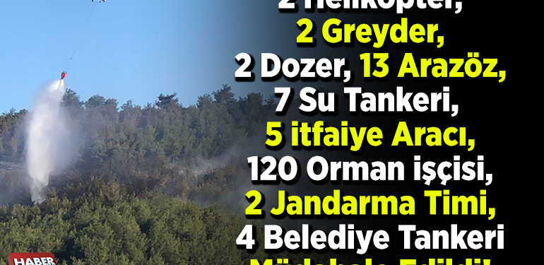 2 helikopter, 2 greyder, 2 dozer, 13 arazöz, 7 su tankeri, 5 itfaiye aracı, 120 orman işçisi, 2 jandarma timi, 4 belediye tankeri