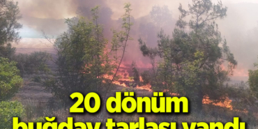 20donum