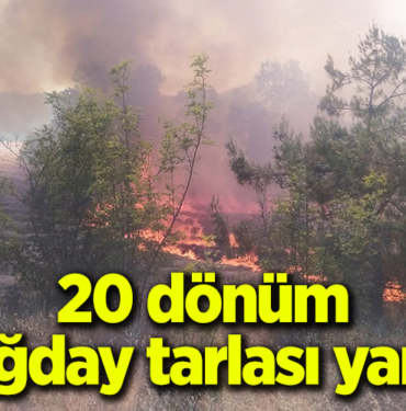 20donum