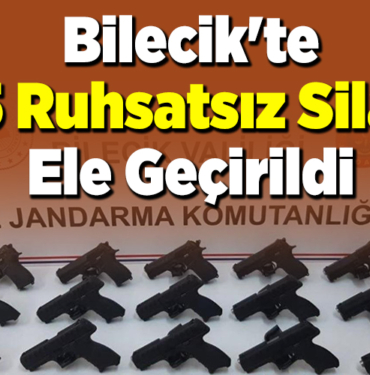 Bilecik'te 15 ruhsatsız silah ele geçirildi