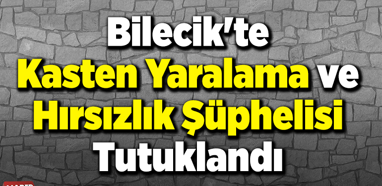 Bilecik’te kasten yaralama ve hırsızlık şüphelisi tutuklandı