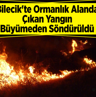 Bilecik'te ormanlık alanda çıkan yangın büyümeden söndürüldü
