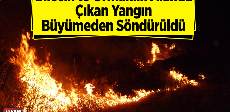 Bilecik’te ormanlık alanda çıkan yangın büyümeden söndürüldü