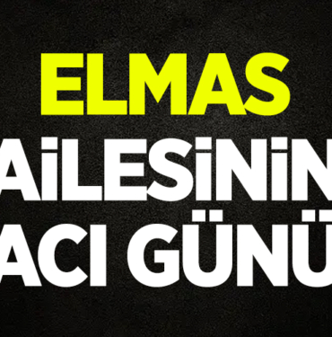 ELMAS2