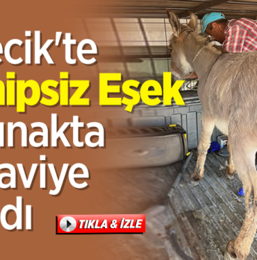 ESEK