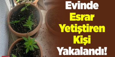 Evinde esrar yetiştiren kişi yakalandı!