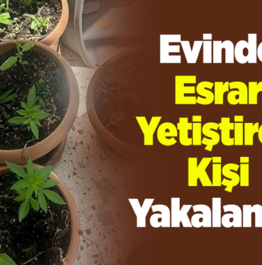 Evinde esrar yetiştiren kişi yakalandı!