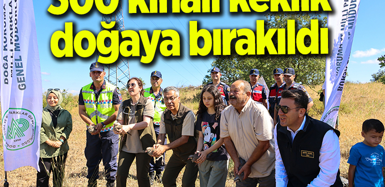 Bilecik’te 300 kınalı keklik doğaya bırakıldı