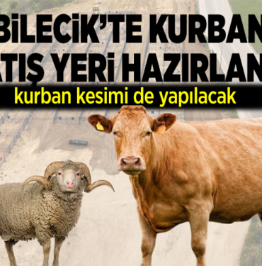KURBAN SATIŞ YERİ BAYRAM İÇİN HAZIRLANDI