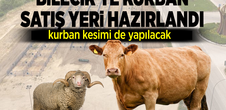 KURBAN SATIŞ YERİ BAYRAM İÇİN HAZIRLANDI