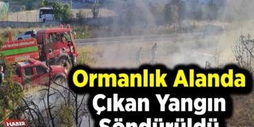 Ormanlık alanda çıkan yangın söndürüldü