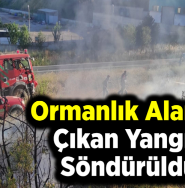 Ormanlık alanda çıkan yangın söndürüldü
